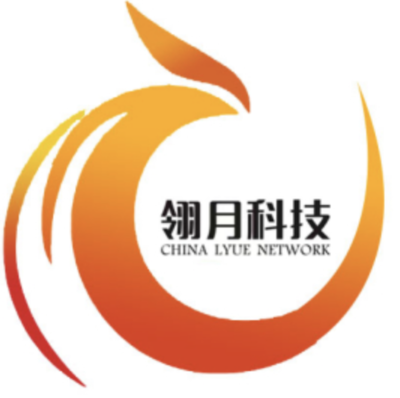 杭州翎月网络科技 智慧驱动，赋能数字杭州新篇章