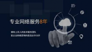 杭州企业网络推广策略与实践指南